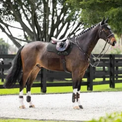 New LeMieux - Tapis de selle mixte Pro Sorb Plain 2 Square Noir