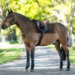 LeMieux - Tapis de selle Pillow Marron