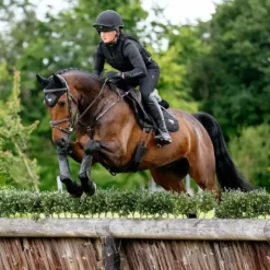 LeMieux - Tapis de selle Square Classic Close Loire Noir Hot