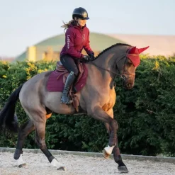 Outlet LeMieux - Tapis de selle Square Soft Shell Anti Glisse EuroJump Bordeaux