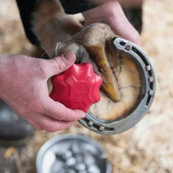 LeMieux - Taraud de sécurité pour crampons Rouge Sale