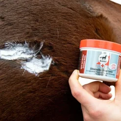 Leovet - Pommade désinfectante et antiseptique à l'argent First Aid Sale