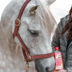 Leovet - Shampoing anti-UV à la camomille Hot