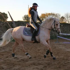 Hot Les poneys de Zoé - Tapis de selle #Ponyboom perle/ violet Gris