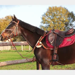 Lexington - Bridon Tucson Croisé avec rênes camel