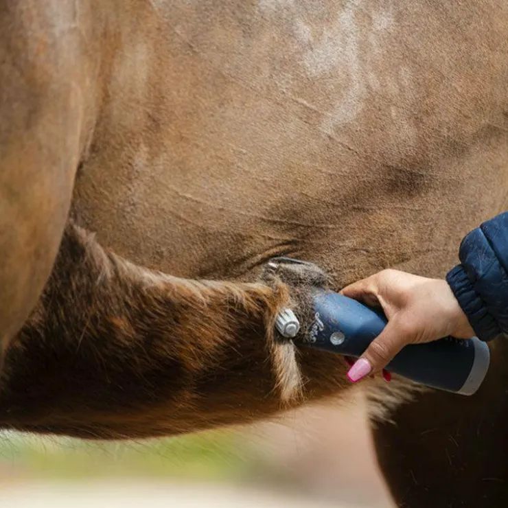 Sale Lister - Tondeuse pour chevaux Eclipse sans fil Bleu
