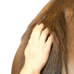 Michel Vaillant - Baume Bio plantain soulage les démangeaisons Horskin Online