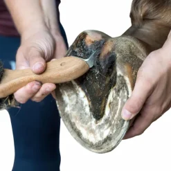 Michel Vaillant - Pâtes fibrée Bio argile verte soin fourchettes et lacune Bactifongic