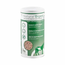 Clearance Natural' Innov - Complément digestif Natural'Digest