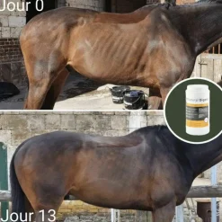 Clearance Natural' Innov - Complément digestif Natural'Digest