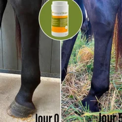 Natural' Innov - Complément alimentaire Natural' Drain New