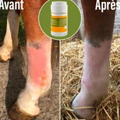 Natural' Innov - Complément alimentaire Natural' Drain New