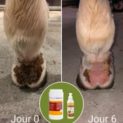 Natural' Innov - Complément alimentaire Natural'Immune