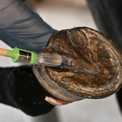 Hot Natural' Innov - Onguent pour sabots incolore Natural Coat