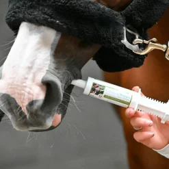 Natural' Innov - Vermifuge naturel Natural'Protect Online