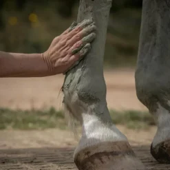 Nellumbo - Cataplasme d'argile drainage & détox