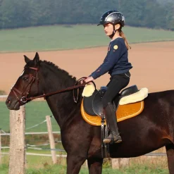 Norton - Bardette club Luxe Noir Outlet