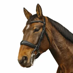 Outlet Norton - Bride Basal Noir