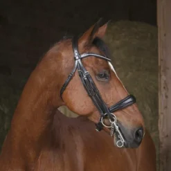 Norton - Bride strass noir Online