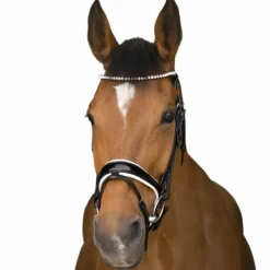 Best Norton - Bridon Bella Noir