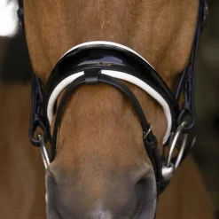 Best Norton - Bridon Bella Noir