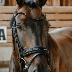 Norton - Bridon de dressage Royal Noir Clearance