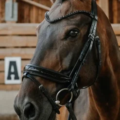 Norton - Bridon de dressage Royal Noir Clearance