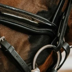 Norton - Bridon de dressage Royal Noir Clearance