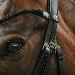 Norton - Bridon de dressage Royal Noir Clearance
