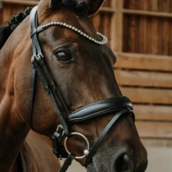 New Norton - Bridon de dressage Diams Noir