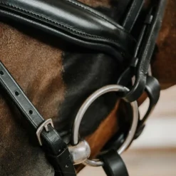 New Norton - Bridon de dressage Diams Noir