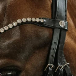 New Norton - Bridon de dressage Diams Noir