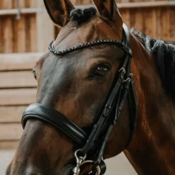 Online Norton - Bridon de dressage Onyx Noir