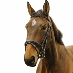 Hot Norton - Bridon Easy Noir