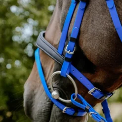 Norton - Bridon endurance Pop électrique Bleu Hot