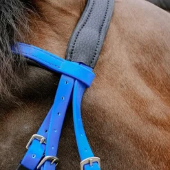 Norton - Bridon endurance Pop électrique Bleu Hot