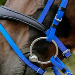 Norton - Bridon endurance Pop électrique Bleu Hot