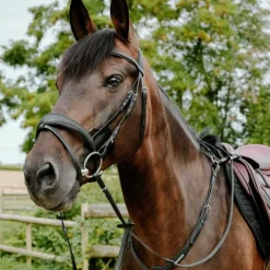 New Norton - Bridon endurance Pop Noir