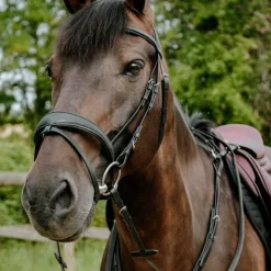 New Norton - Bridon endurance Pop Noir