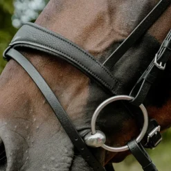 New Norton - Bridon endurance Pop Noir