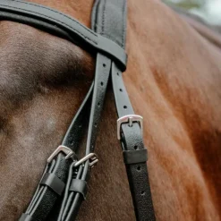 New Norton - Bridon endurance Pop Noir