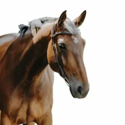 Discount Norton - Bridon Freedom marron Havane