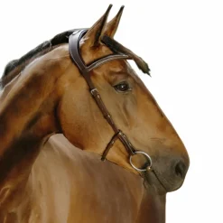 Discount Norton - Bridon Freedom marron Havane