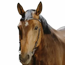 Discount Norton - Bridon Freedom marron Havane