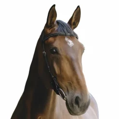 Norton - Bridon Freedom Noir Discount