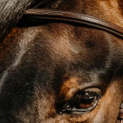 Norton - Bridon Hunter Comfy havane Marron Hot