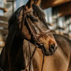 Norton - Bridon Hunter en cuir havane Marron Clearance