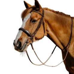 Best Norton - Bridon Hunter Fancy havane Marron