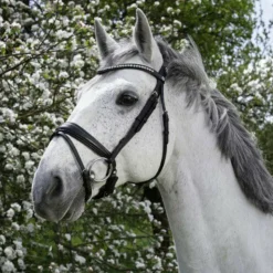 Norton - Bridon Pro Strass Noir Clearance