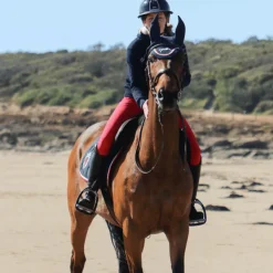 Norton - Bridon Pro Vague Havane Clearance